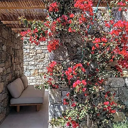 호텔 Mykonos Drops Platys Gialos (Mykonos)